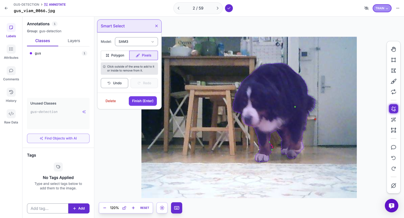 A polygon-annotation interface — Smart Select mode — showing one frame of the rover stream of Gus the dog being labeled with the 'gus' class.