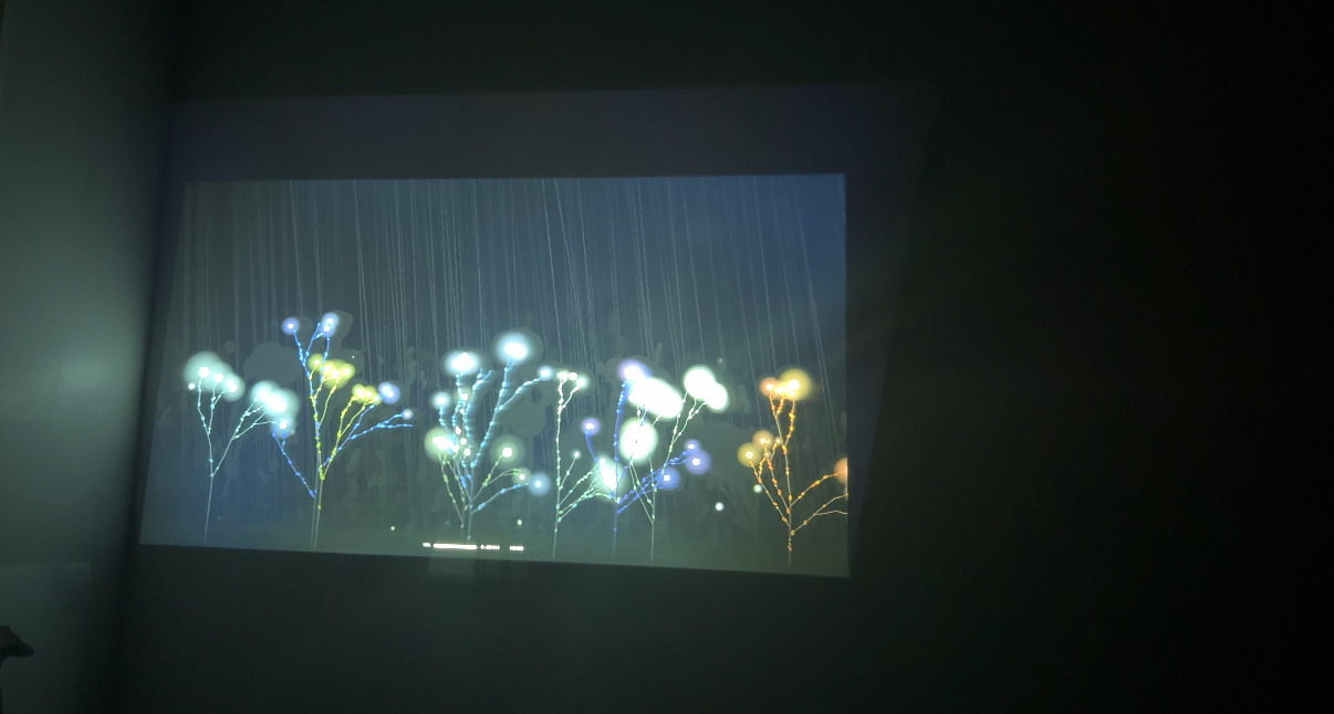 A dense projected forest of generative trees — Sophie's Forest at the end of a full classroom session of voices.