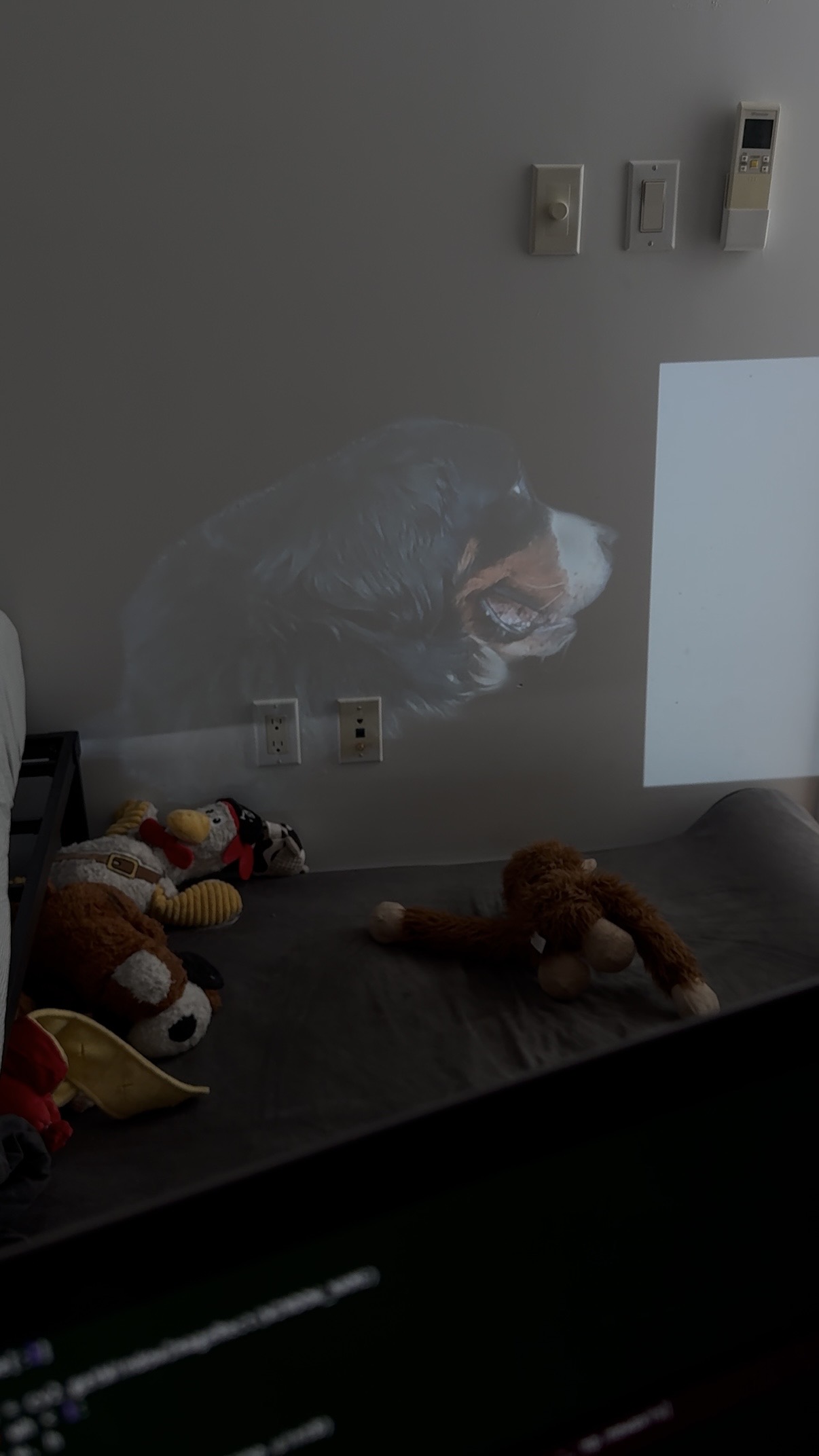 Projector setup for Gus presence in the classroom.