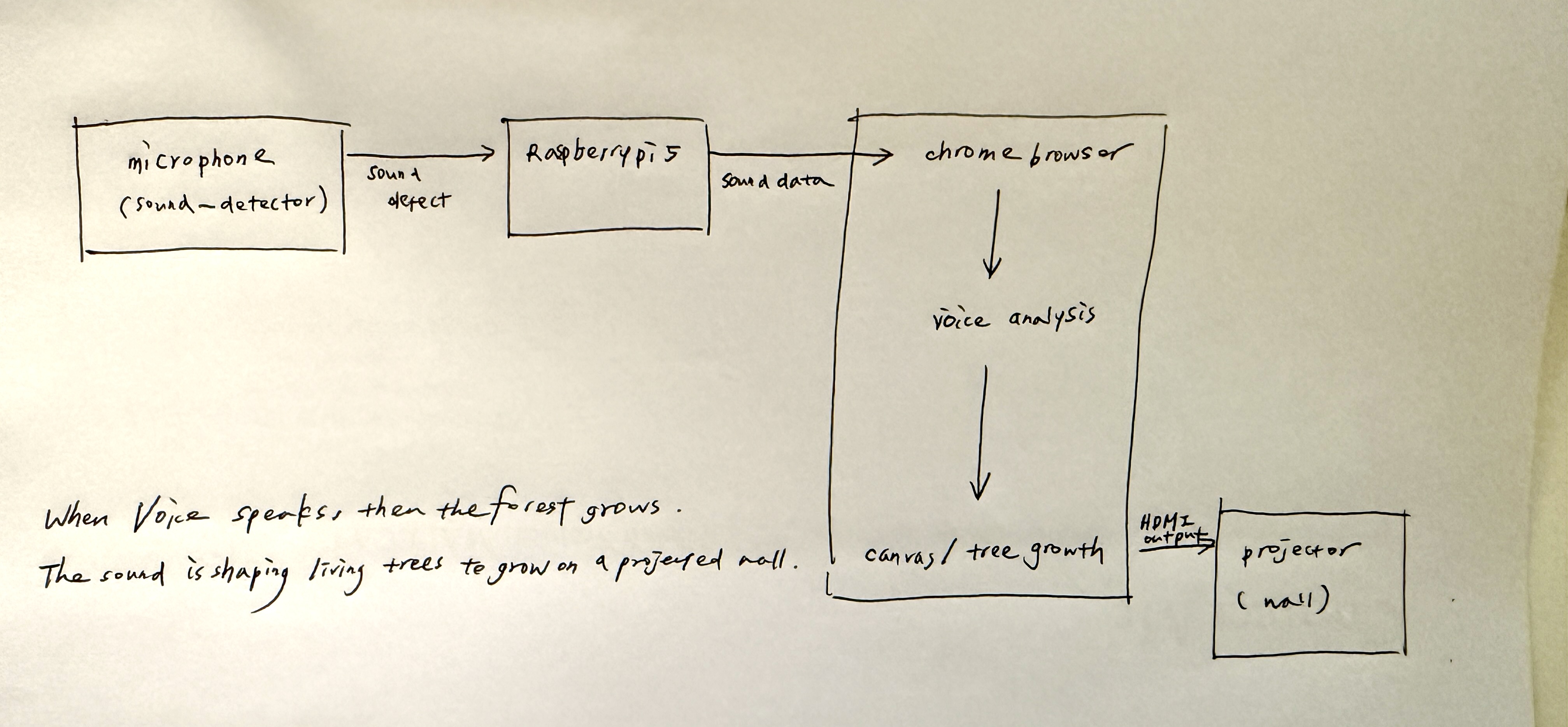 Diagram of Forest in the Classroom: voices into a generative landscape that grows tree by tree.